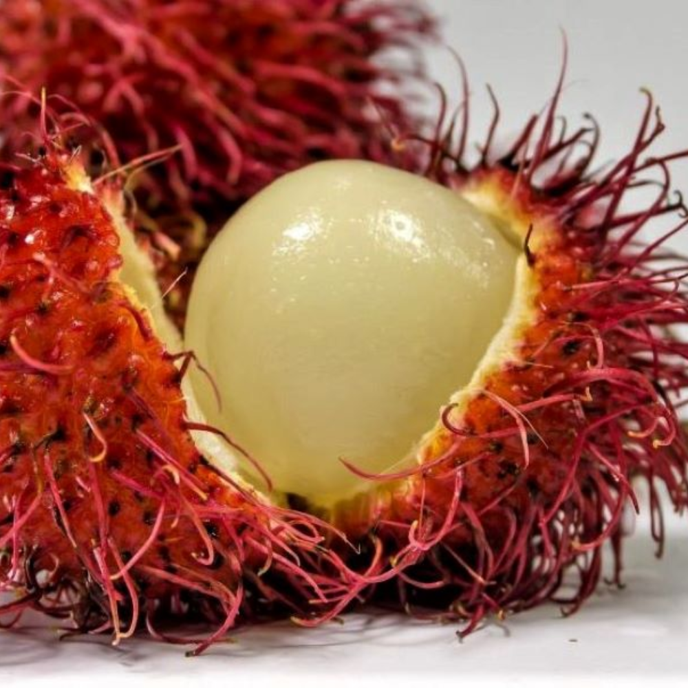Nutrisi Botani Pria